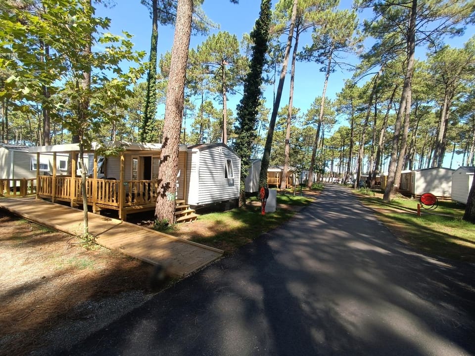 Property building, Natural landscape