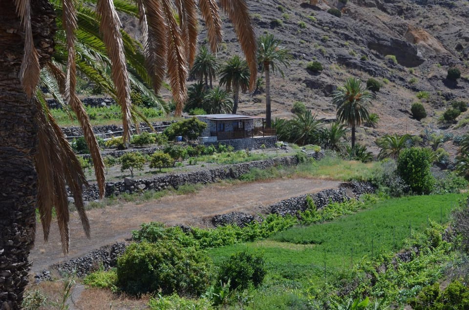 Natural landscape, Garden, Garden view