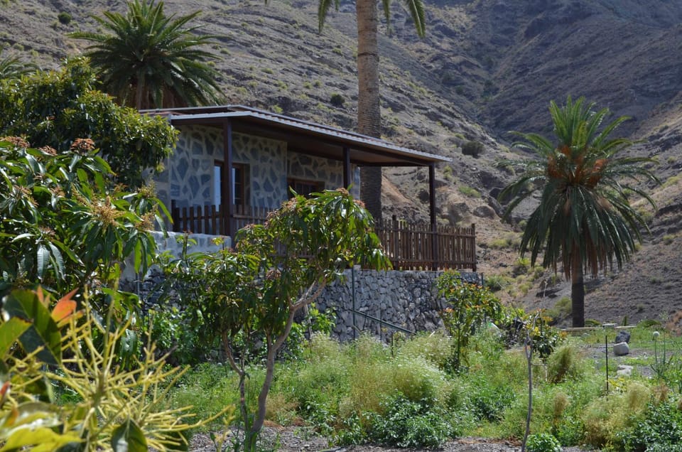Property building, Natural landscape, Garden