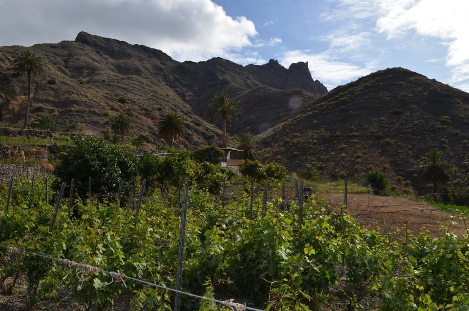 Property building, Natural landscape, Mountain view