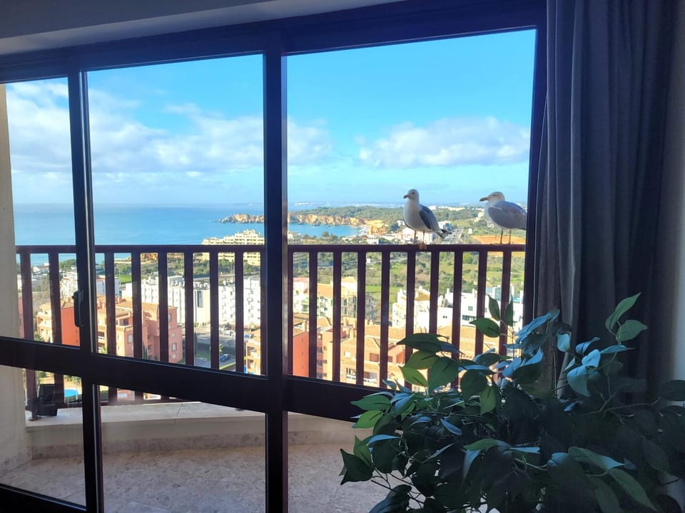 O WOW View Portimao, ALvor, ALGARVE Apartment in Portimao