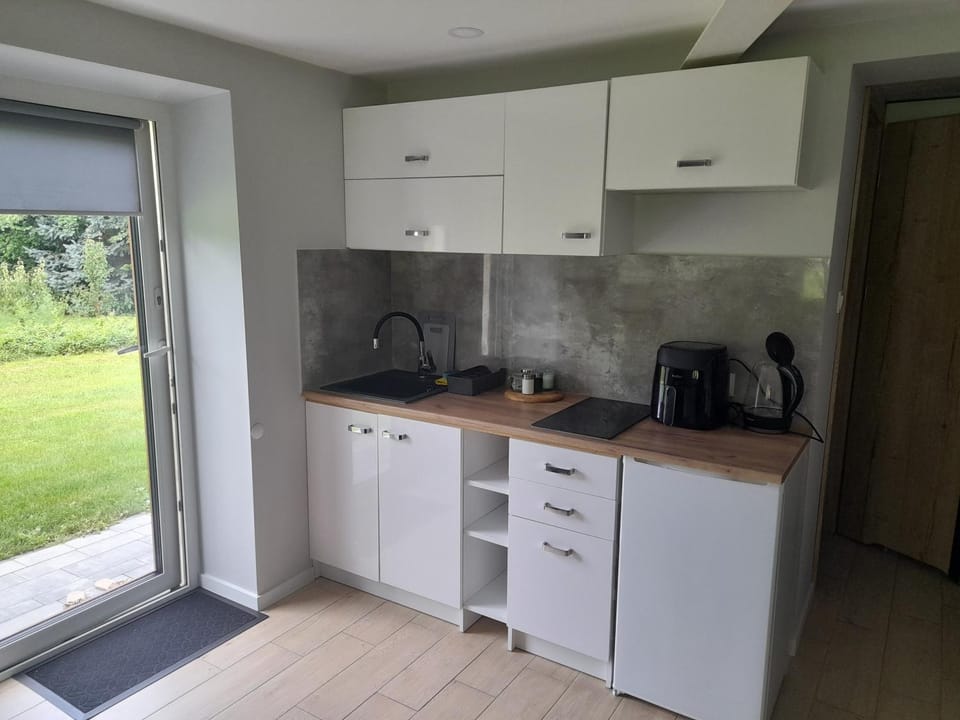 Apartament z ogrodem Apartment in Lviv Oblast