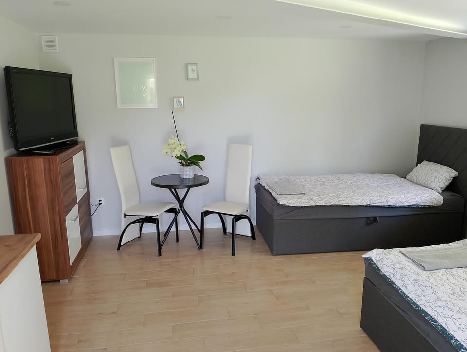 Apartament z ogrodem Apartment in Lviv Oblast