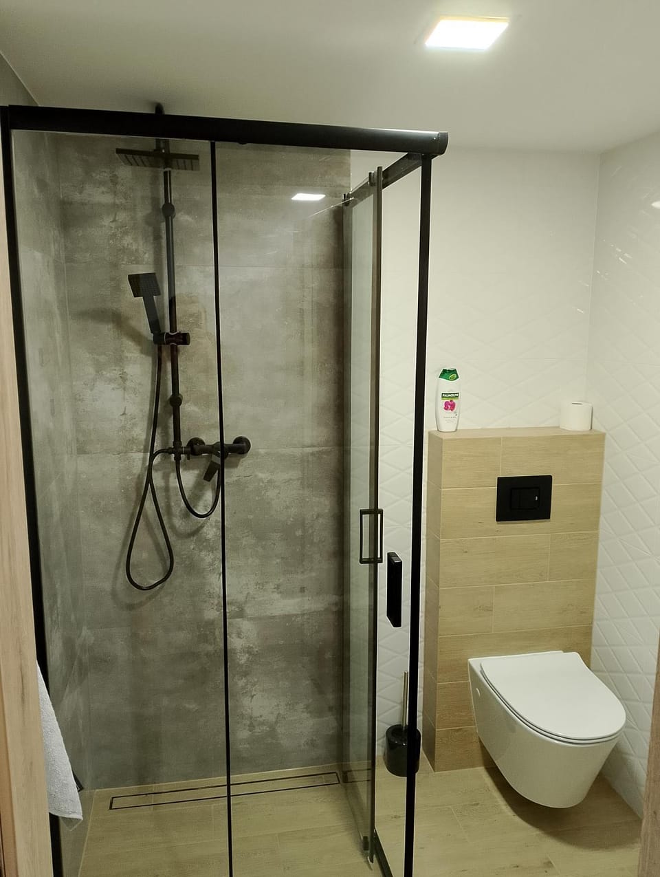 Apartament z ogrodem Apartment in Lviv Oblast