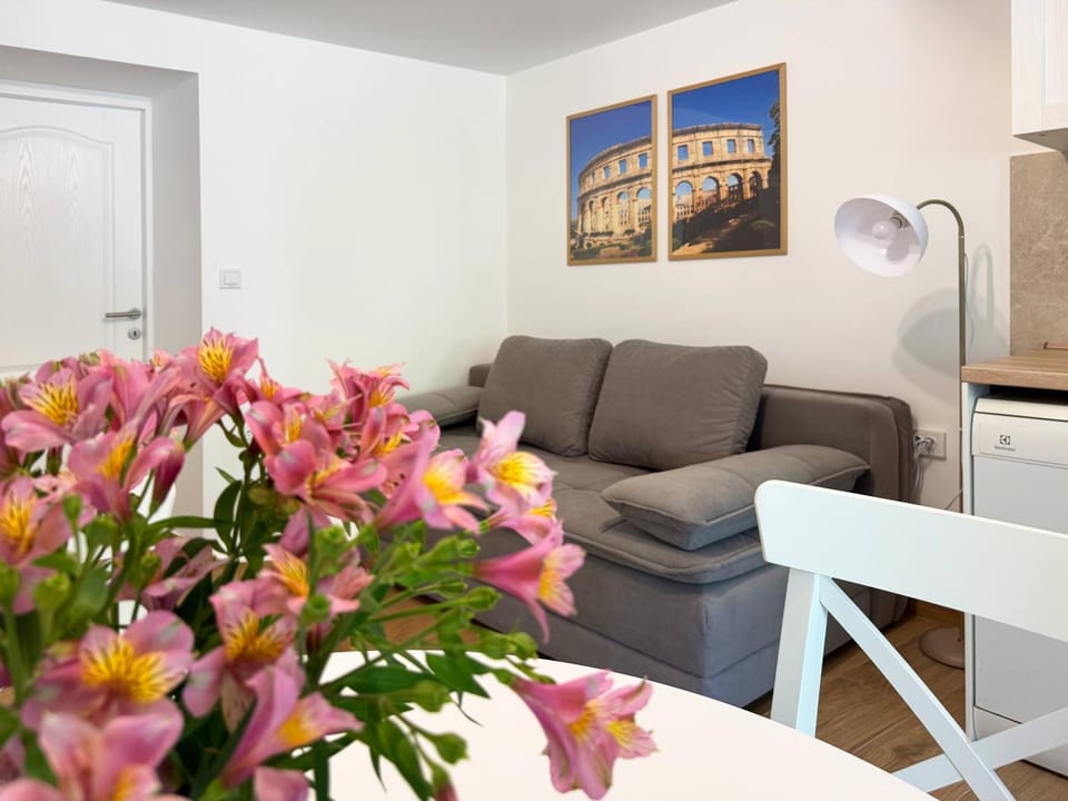 Apartment Ama - ground floor Apartment in Banjole