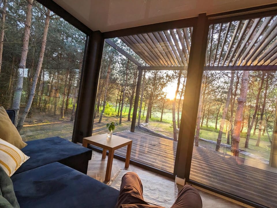 Garden, Garden, Seating area, Garden view, Sunset