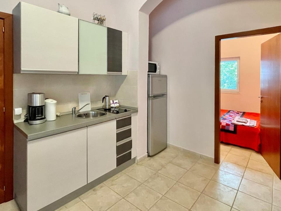 Kitchen or kitchenette, minibar, stove
