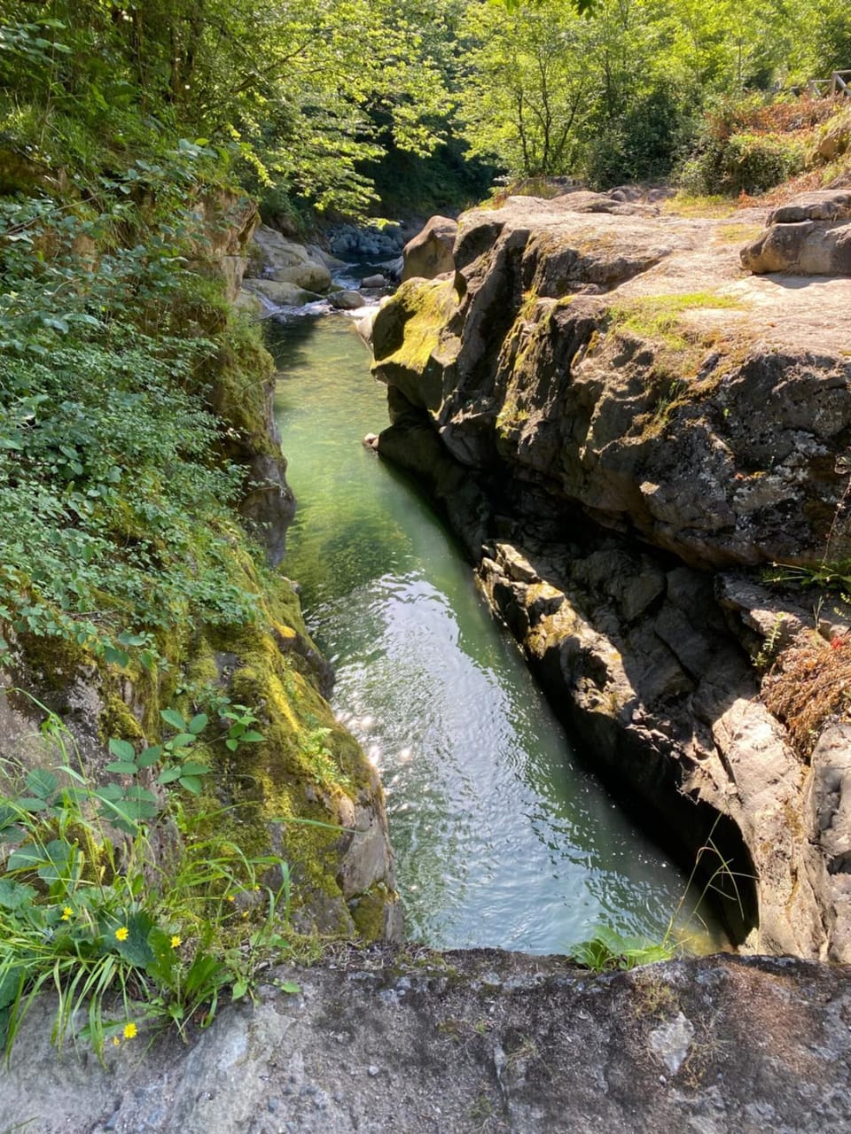 Natural landscape, River view