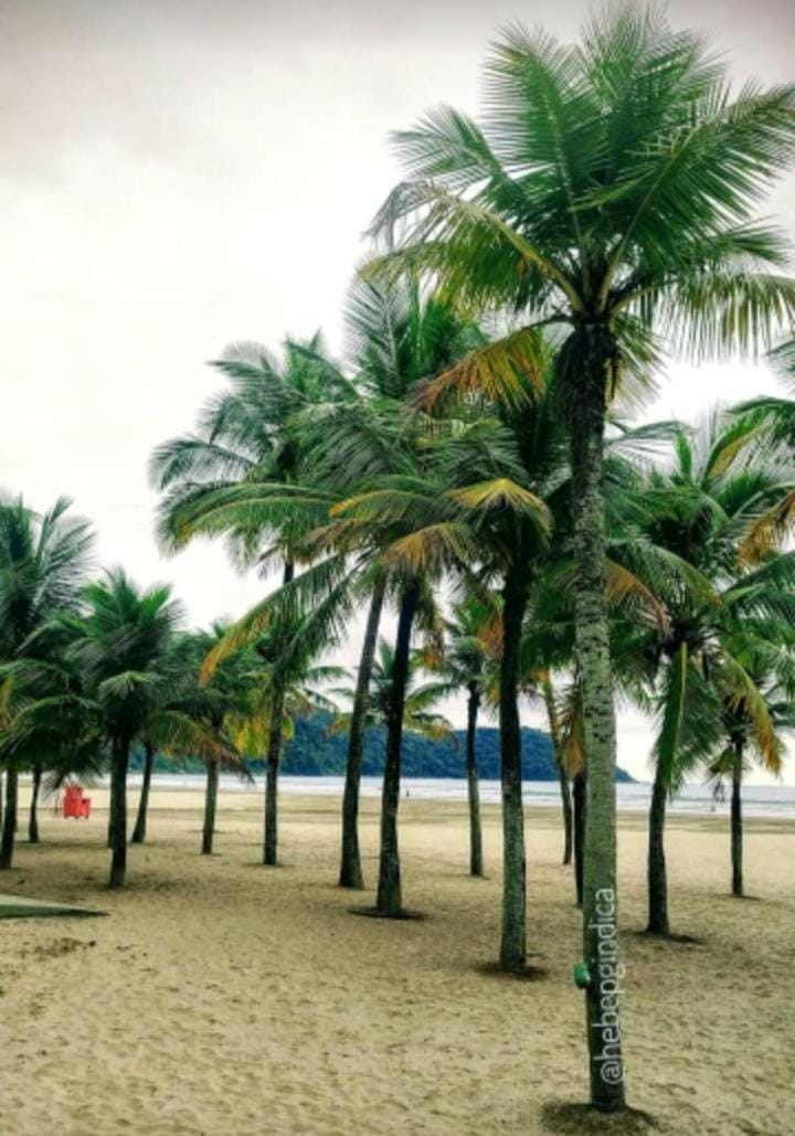 Férias na Praia Apartment in State of São Paulo