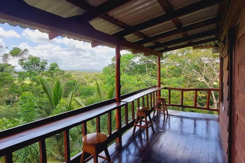 Patio, Natural landscape, View (from property/room), Balcony/Terrace, Garden view