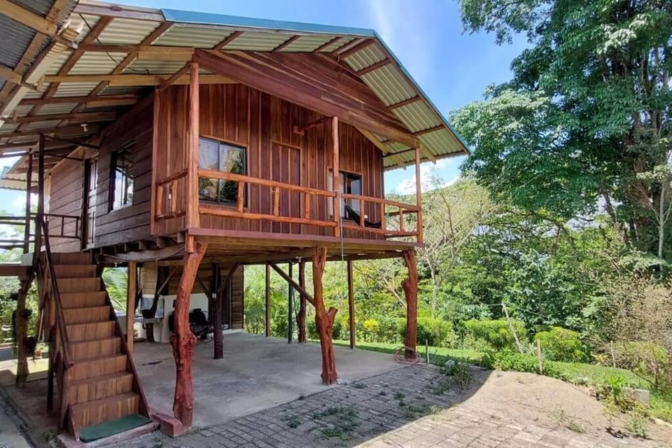 Property building, Patio, Day, Garden, View (from property/room), Balcony/Terrace, Garden view