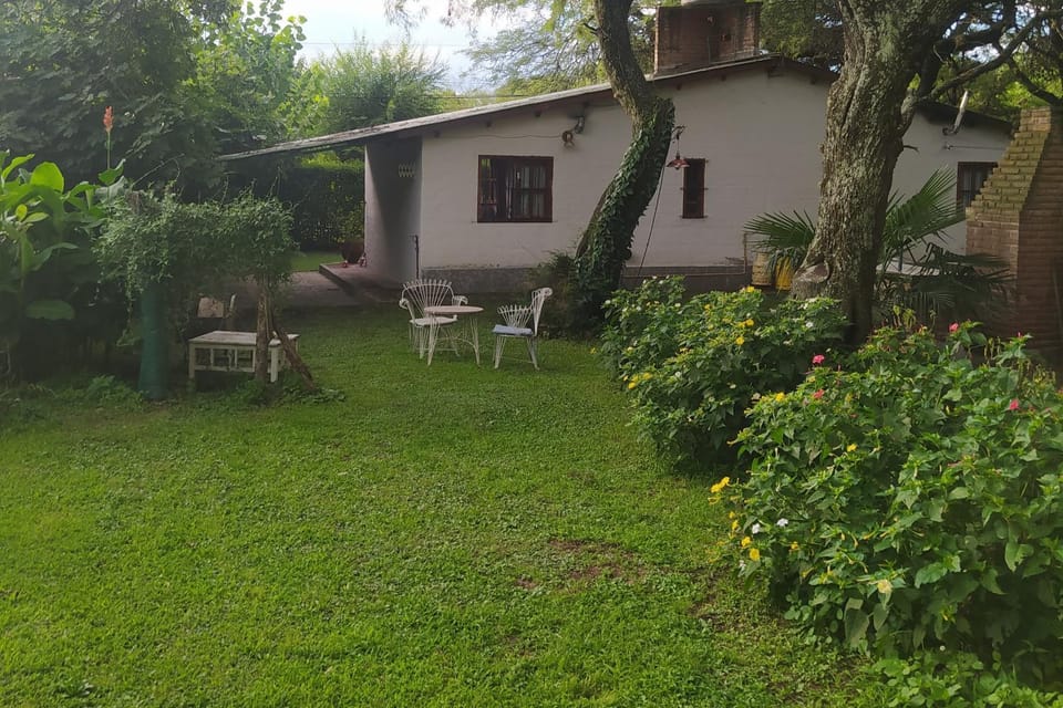 Day, Garden, Garden view