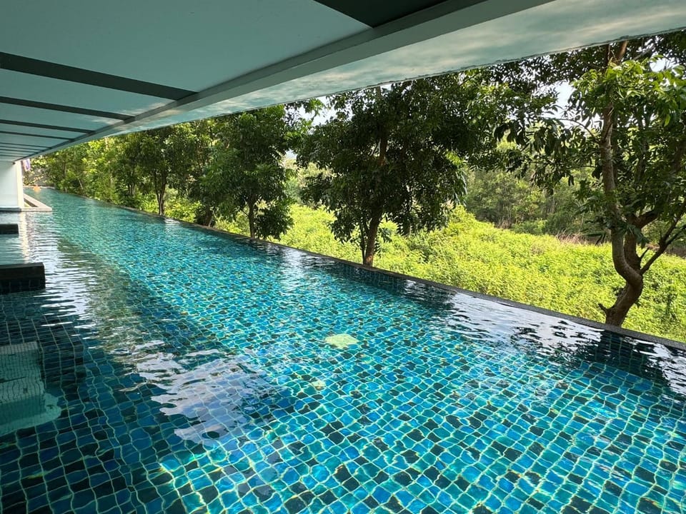 Swimming pool, Swimming pool