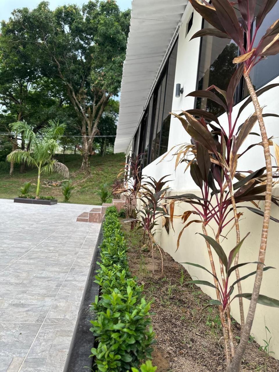 Day, Garden view