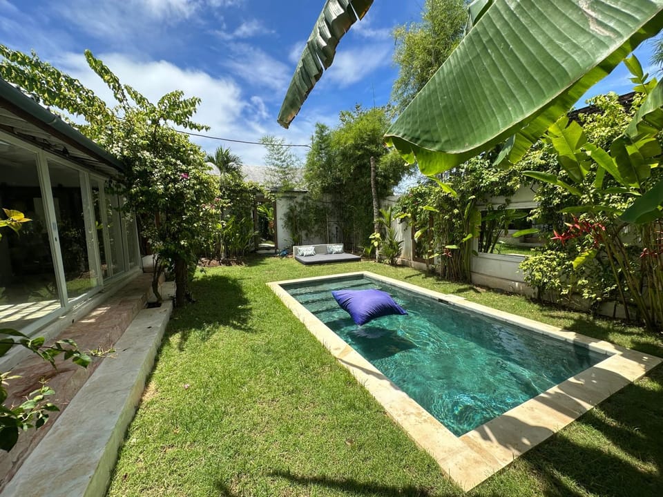 Day, Natural landscape, Garden, Swimming pool, sunbed