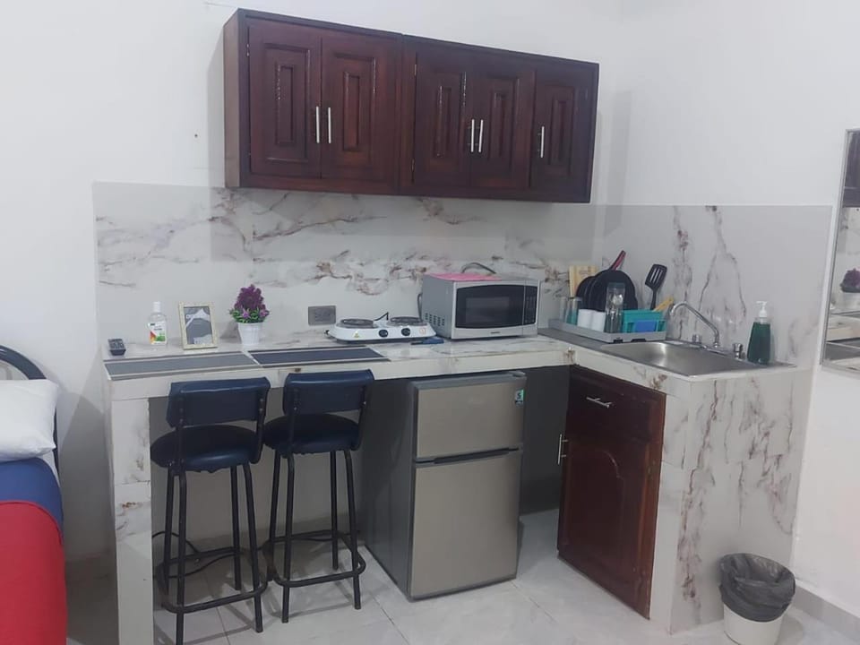Kitchen or kitchenette, kitchen