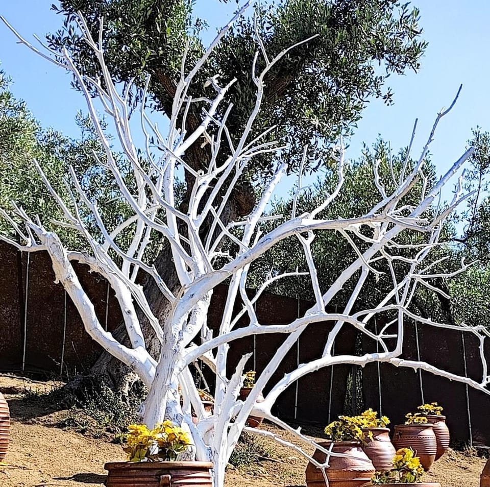 Day, Garden, Garden view