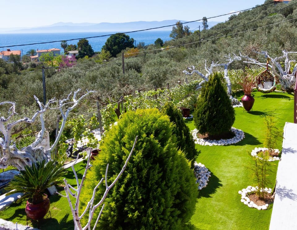 Day, Natural landscape, Garden, Garden view