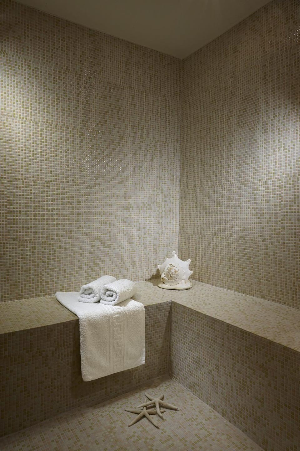 Steam room