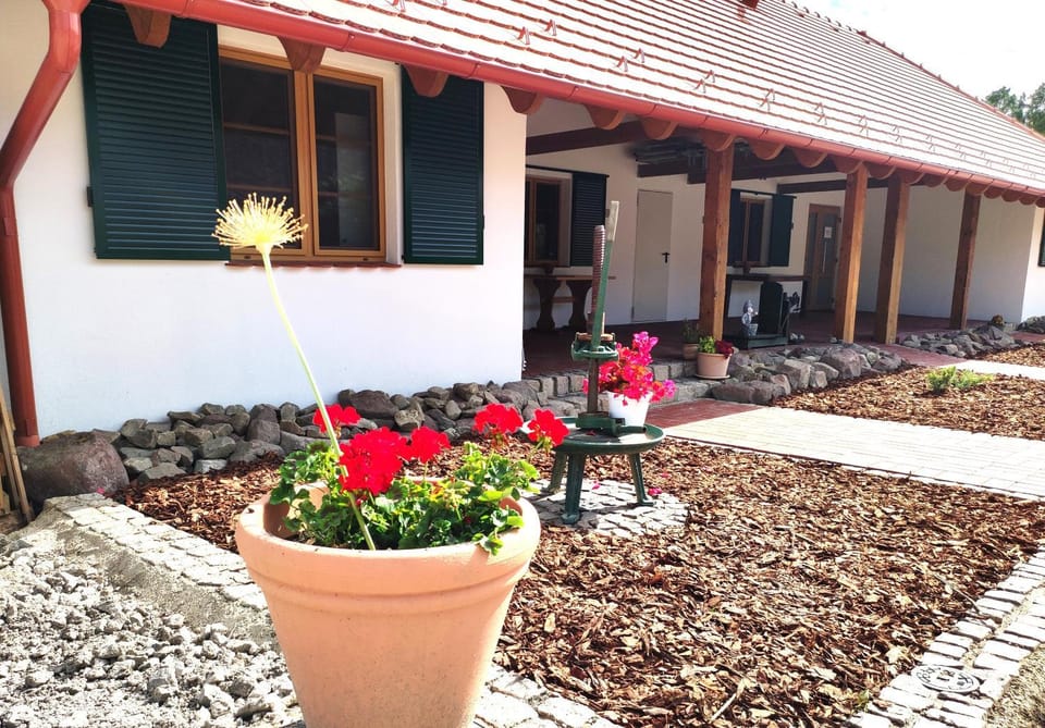 Property building, Garden, Garden view