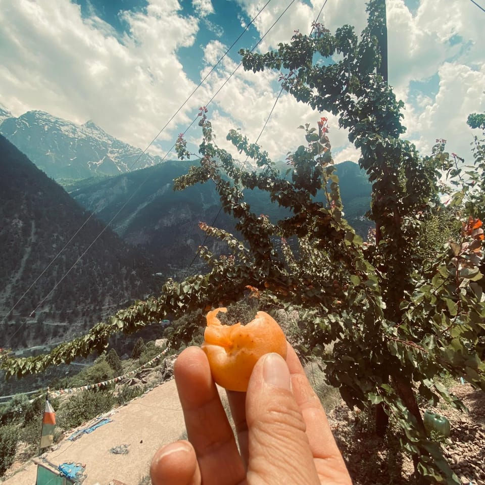 Raldang Himalayan homestay & farm stay Farm Stay in Himachal Pradesh