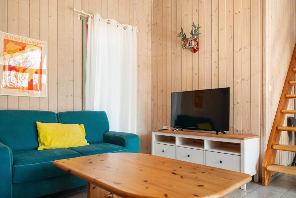 TV and multimedia