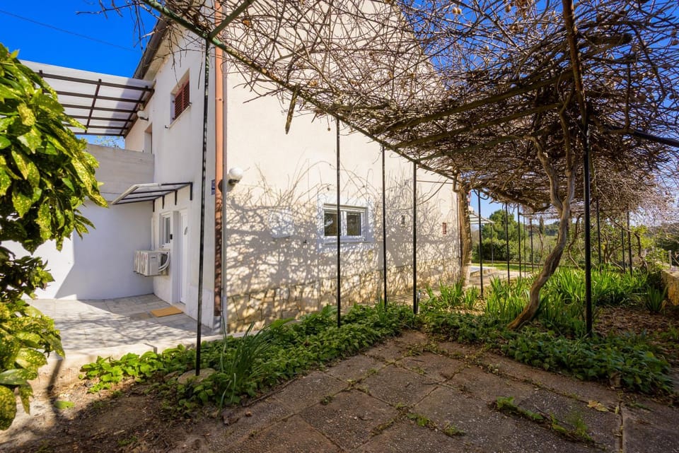 Property building, Garden, Garden view