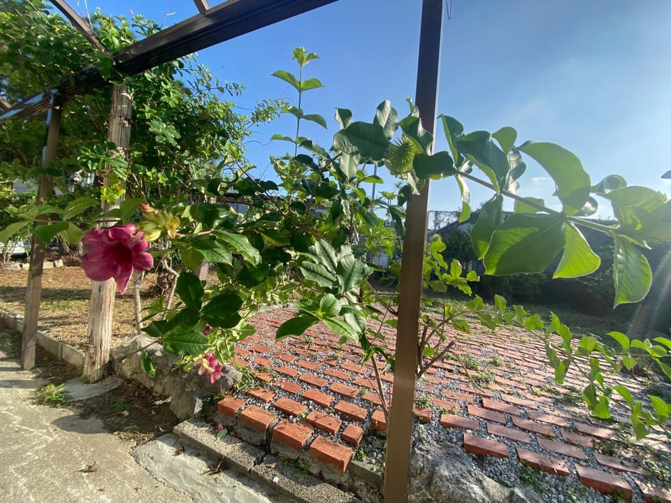 Spring, Day, Garden, Garden view