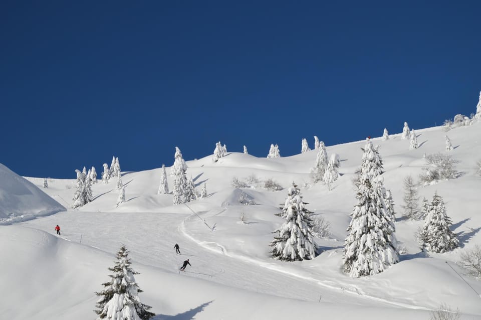 Natural landscape, Winter