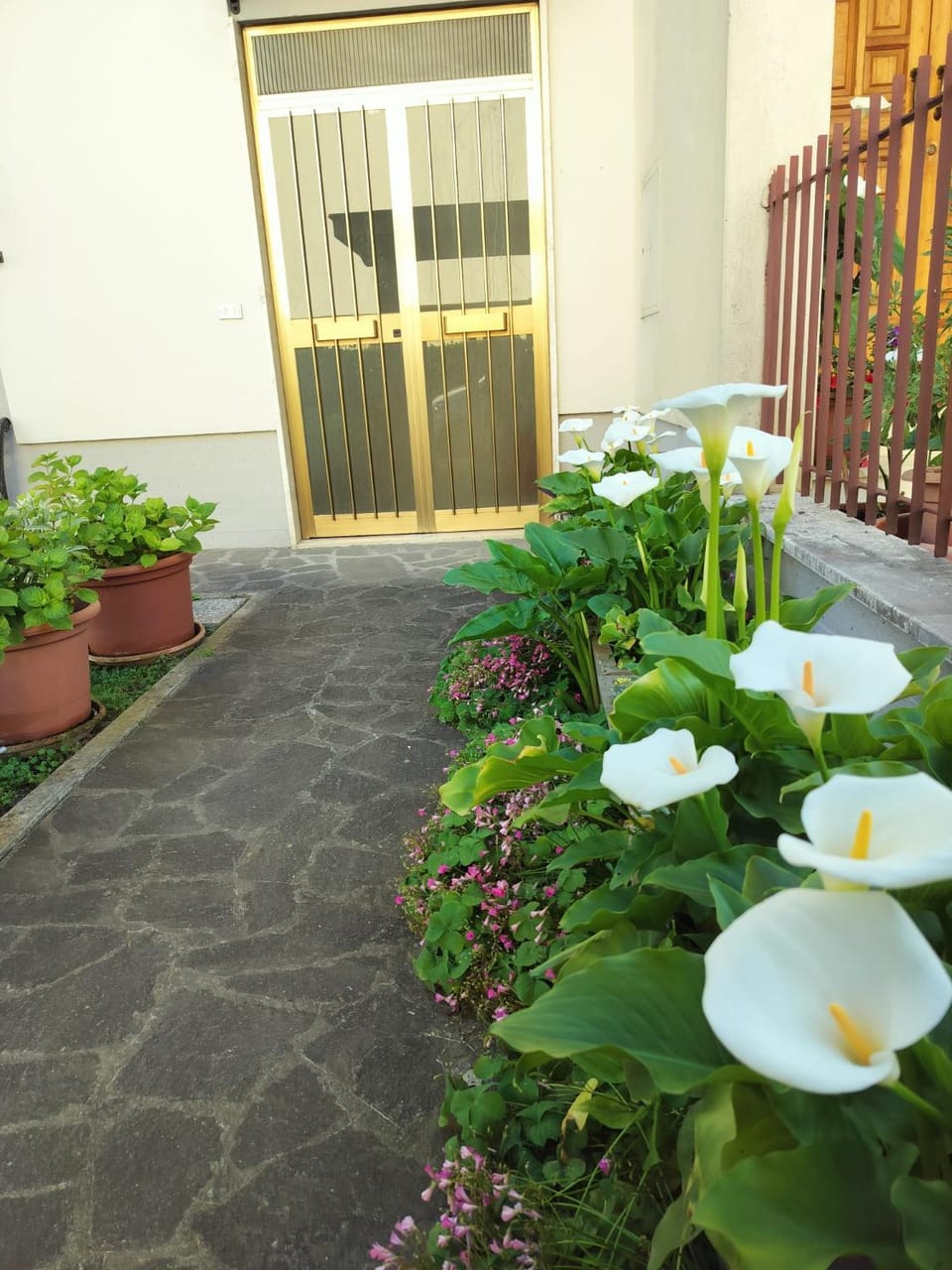 Garden, Garden view