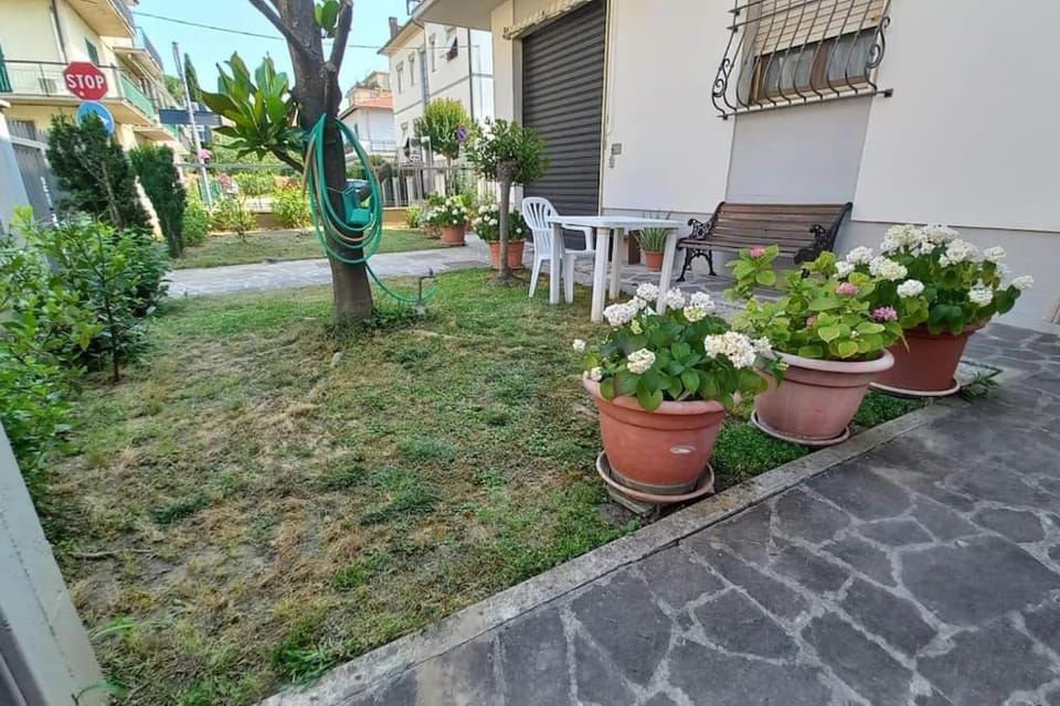 Garden, Garden view
