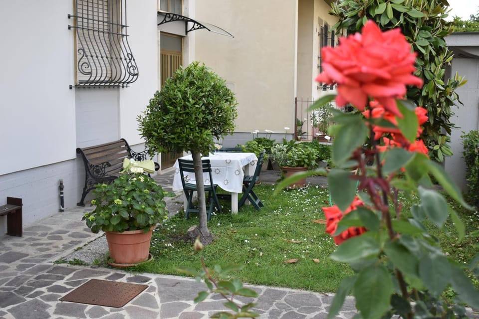 Garden, Garden view