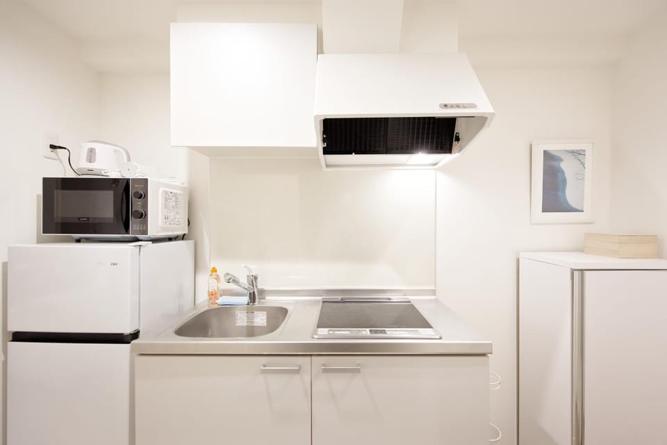 Kitchen or kitchenette, microwave, stove