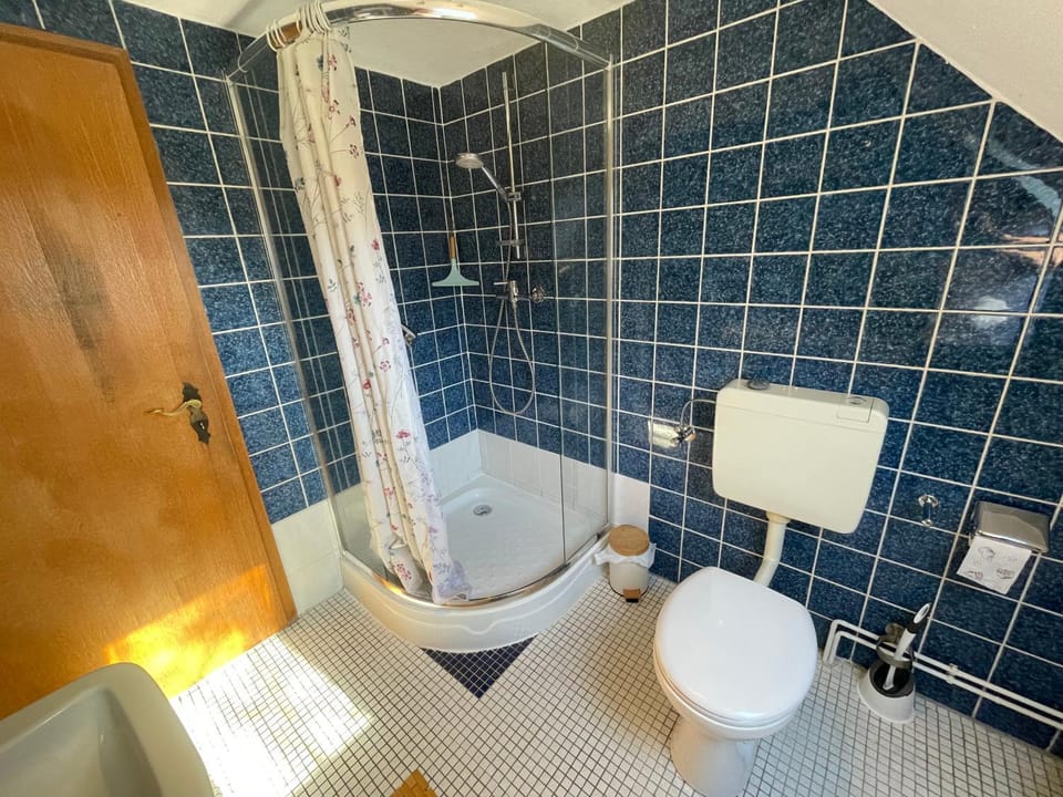 Shower, Toilet