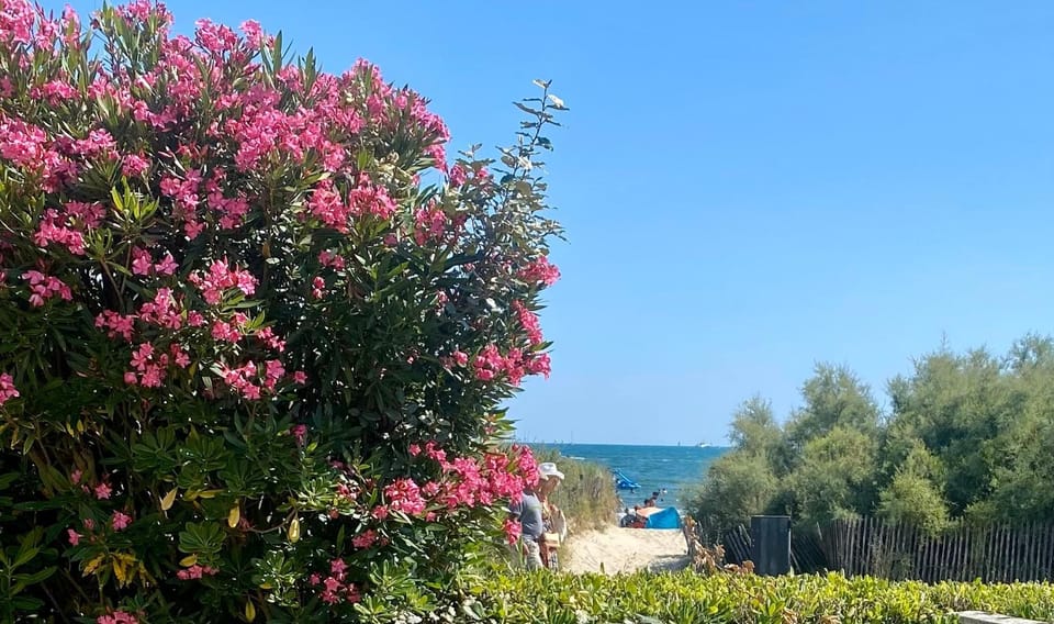 Patio, Natural landscape, Garden, Garden view, Sea view