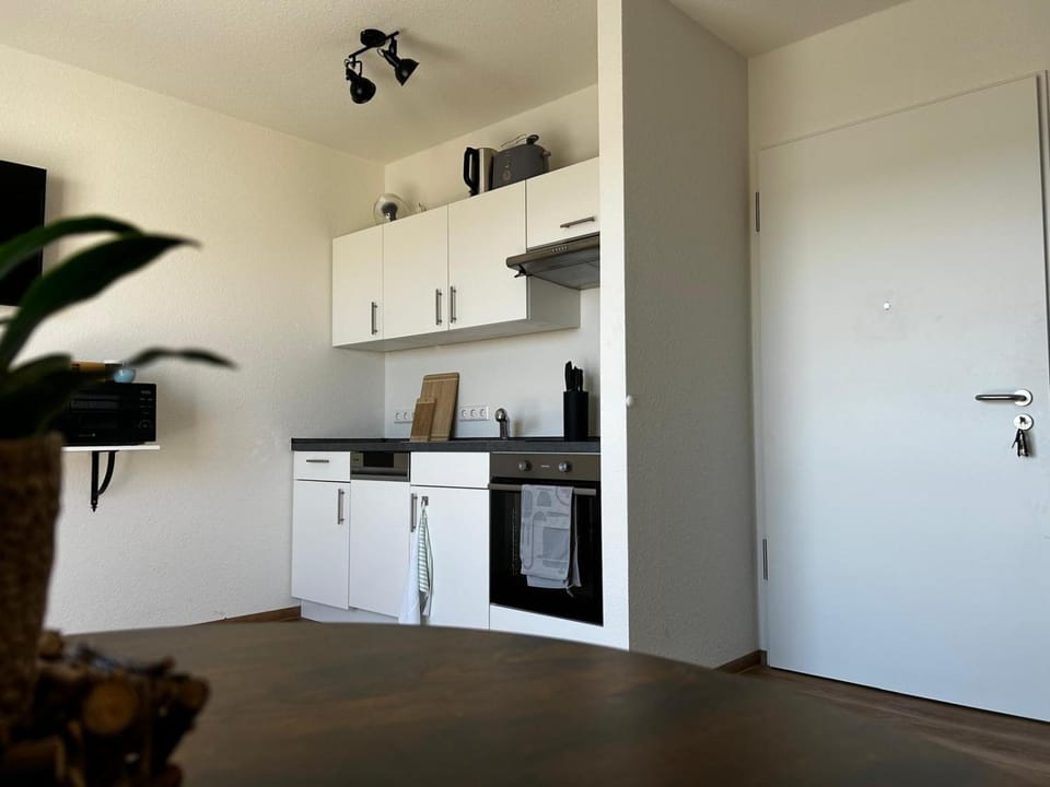 Kitchen or kitchenette, dishwasher, oven, stove