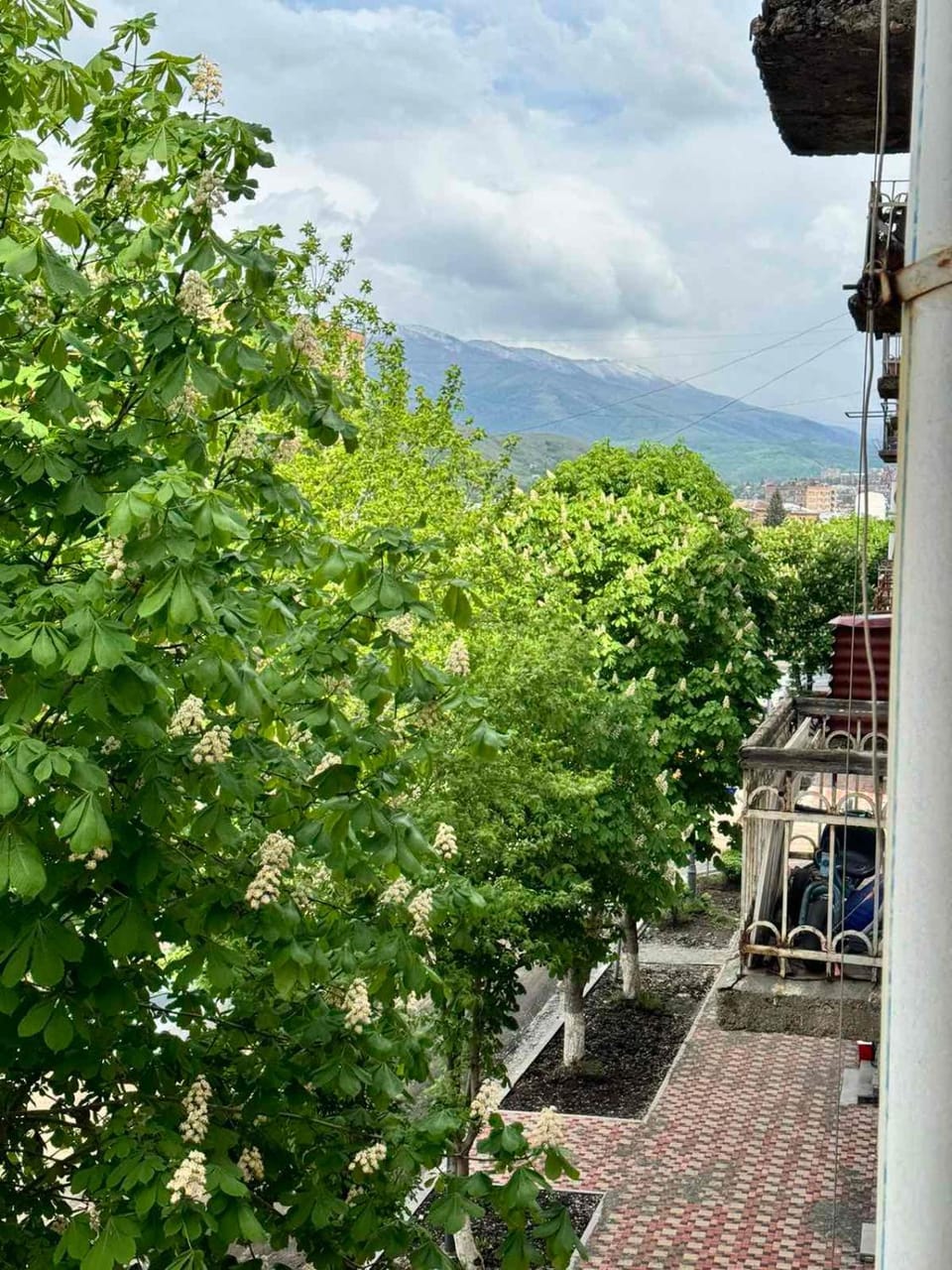 Spring, Day, Natural landscape