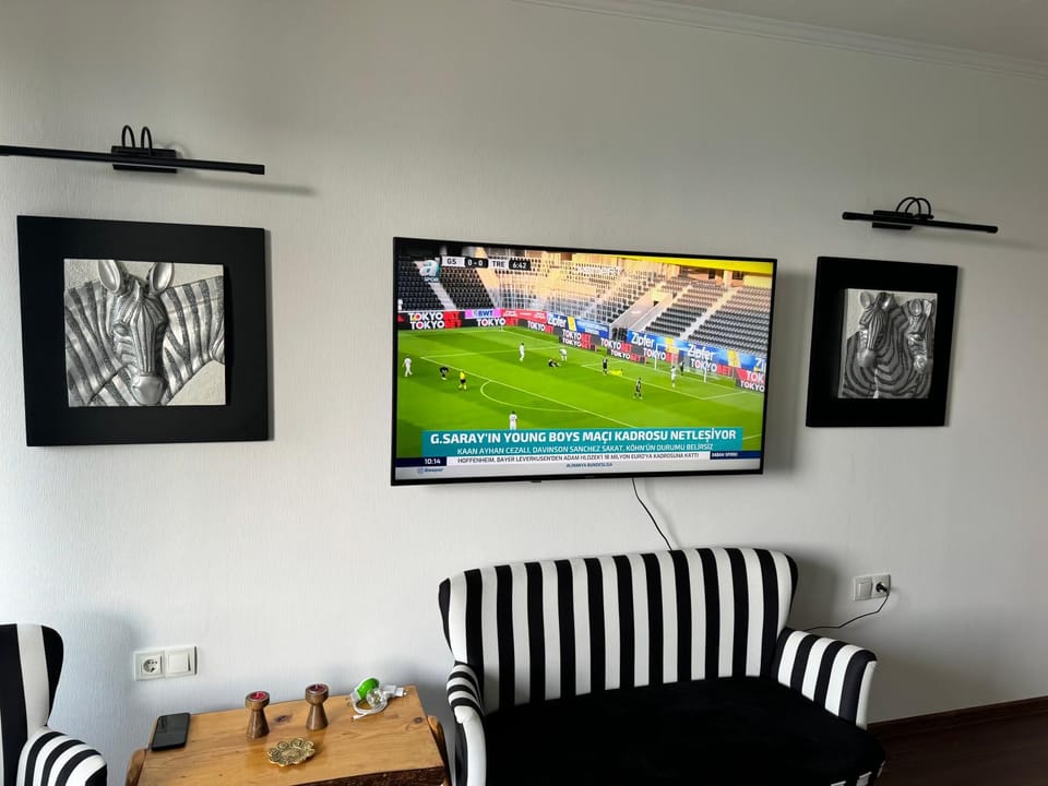 TV and multimedia
