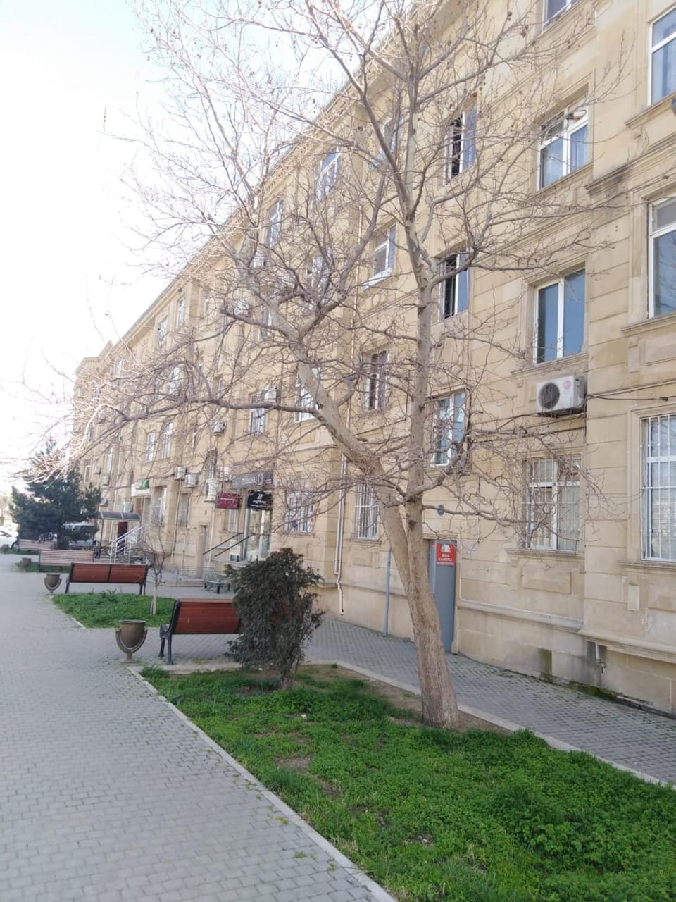 Property building, Day, Neighbourhood, Street view