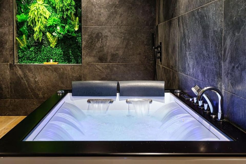 Le SPA & Cocon - Jacuzzi - Sauna - Clim - Melina&Alfred Apartment in Nouvelle-Aquitaine