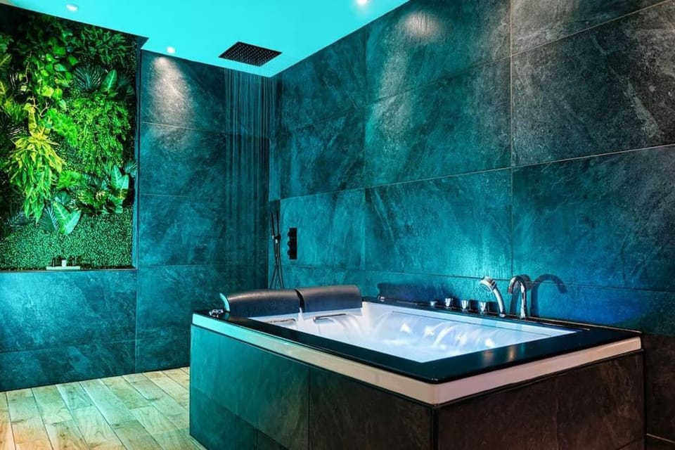 Le SPA & Cocon - Jacuzzi - Sauna - Clim - Melina&Alfred Apartment in Nouvelle-Aquitaine