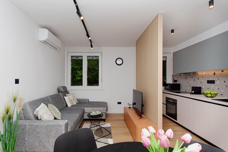 TV and multimedia, Kitchen or kitchenette, Living room, Seating area, Dining area, locker, minibar, pet friendly, stove, air conditioner