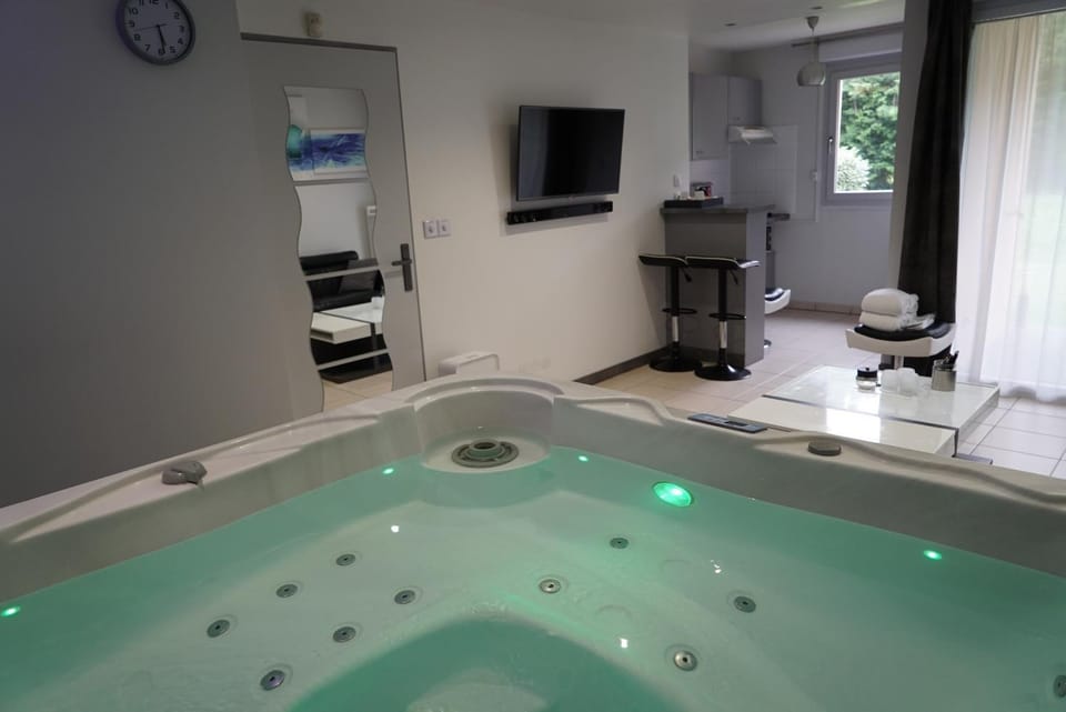 Appart&Spa Apartment in Toulouse
