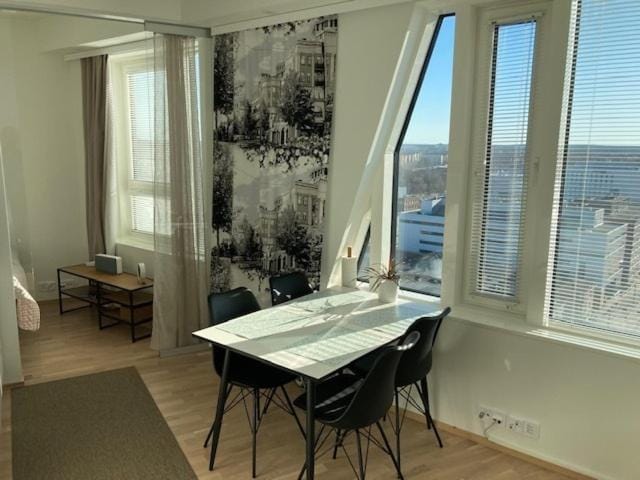 Topaasi Apartment in Finland