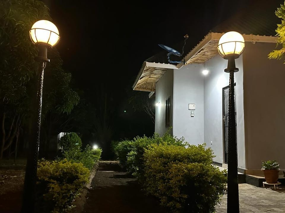Property building, Night, Garden view