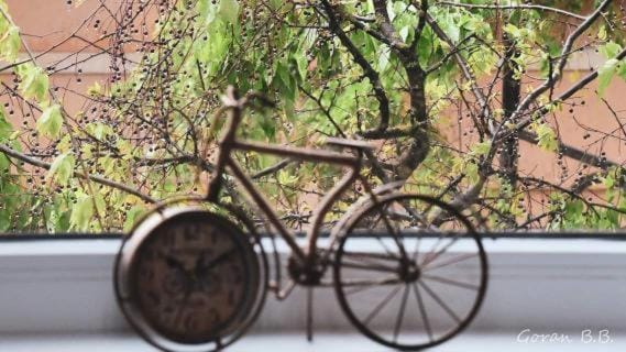 U srcu Ravangrada sa besplatnim parkingom Apartment in Vojvodina