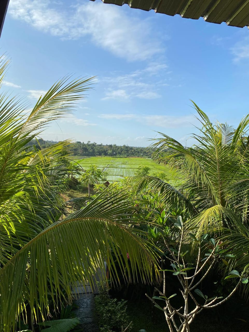 Natural landscape, Garden, Garden view, Landmark view, Mountain view