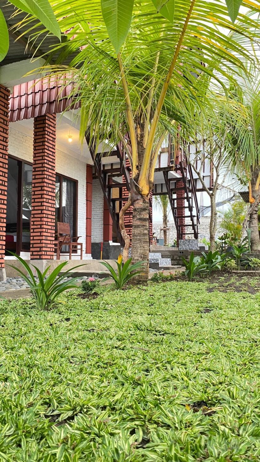 Natural landscape, Garden, Garden view