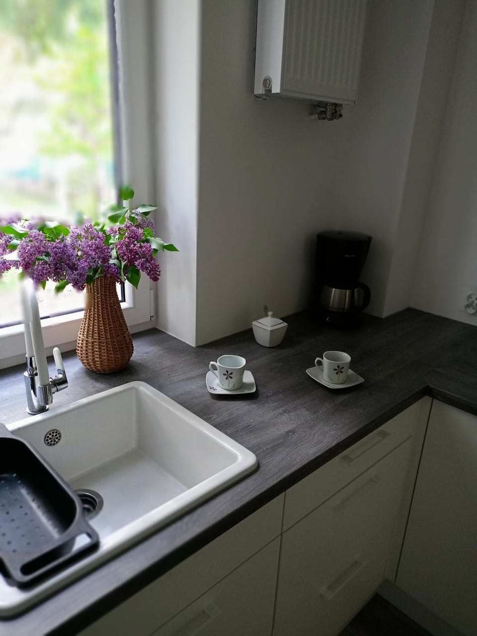 Coffee/tea facilities, Kitchen or kitchenette