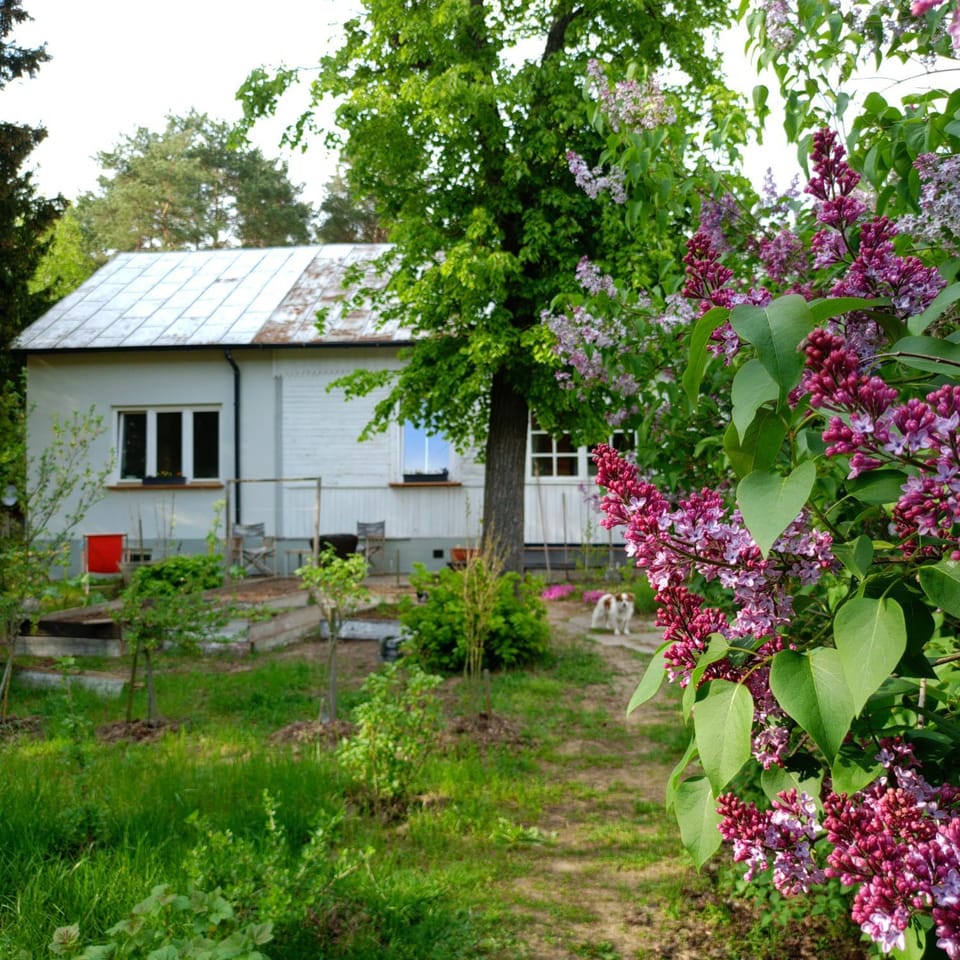 Property building, Garden